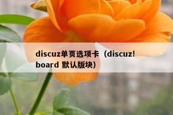 discuz单页选项卡（discuz! board 默认版块）