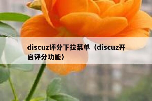 discuz评分下拉菜单（discuz开启评分功能）