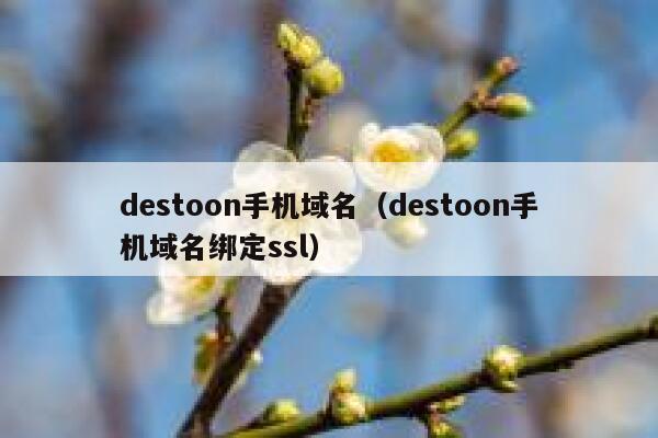 destoon手机域名（destoon手机域名绑定ssl）