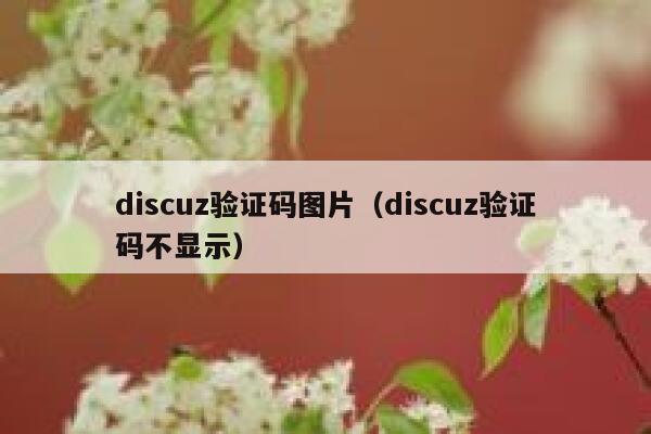 discuz验证码图片（discuz验证码不显示）