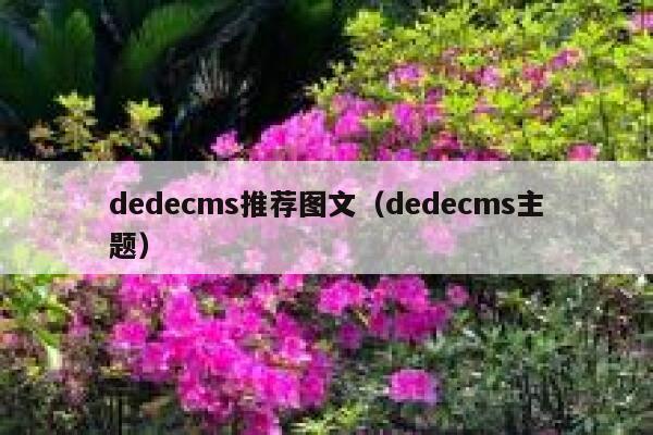 dedecms推荐图文（dedecms主题）