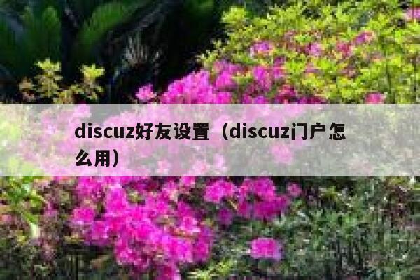 discuz好友设置（discuz门户怎么用）