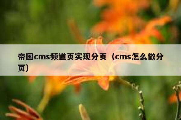 帝国cms频道页实现分页（cms怎么做分页）