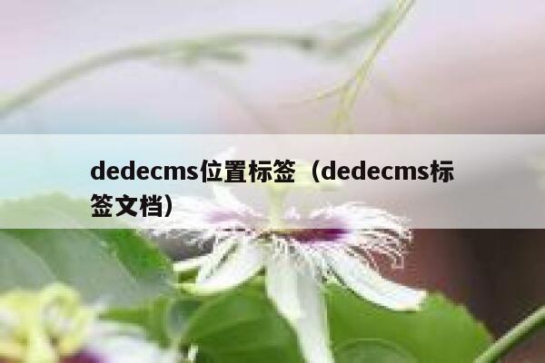 dedecms位置标签（dedecms标签文档）