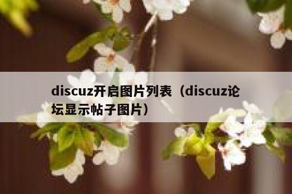 discuz开启图片列表（discuz论坛显示帖子图片）