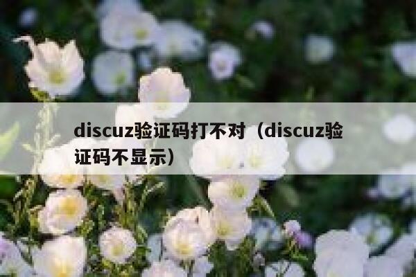 discuz验证码打不对（discuz验证码不显示）