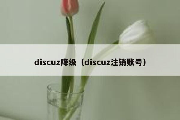 discuz降级（discuz注销账号）