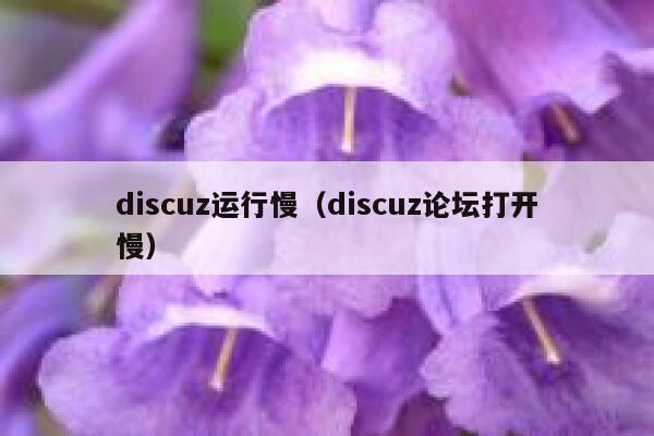 discuz运行慢（discuz论坛打开慢）