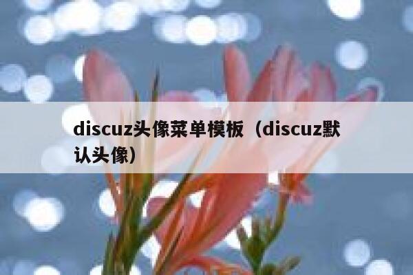 discuz头像菜单模板（discuz默认头像）