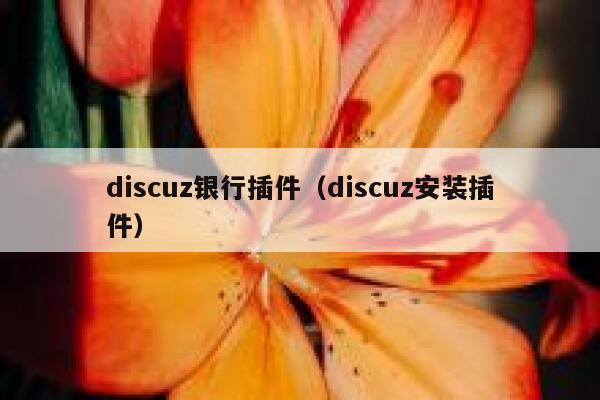 discuz银行插件（discuz安装插件）