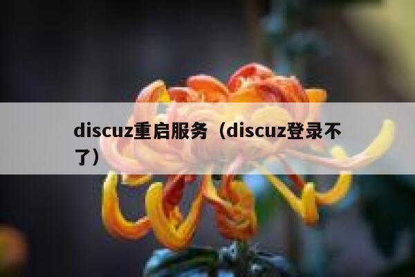 discuz重启服务（discuz登录不了）