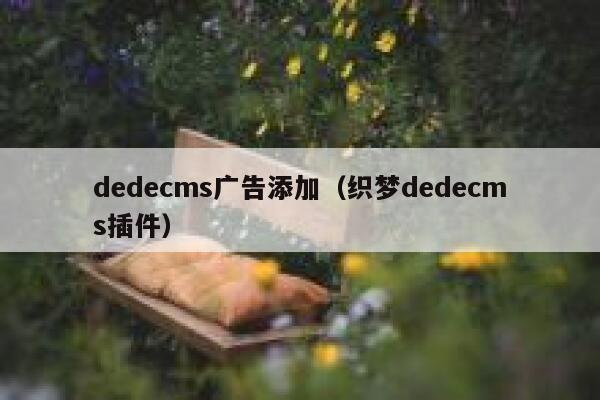 dedecms广告添加（织梦dedecms插件）