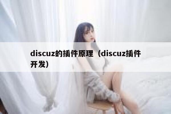 discuz的插件原理（discuz插件开发）