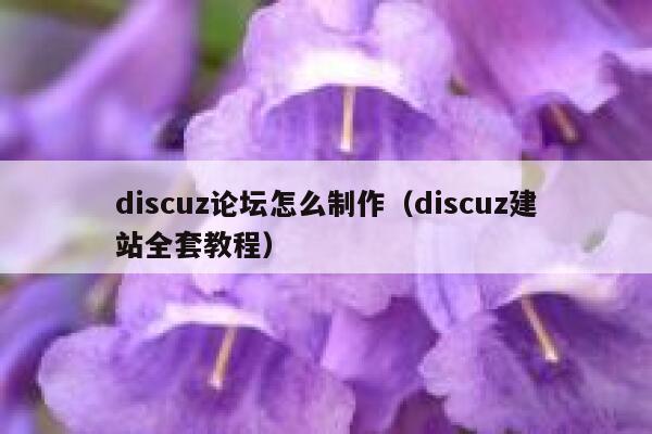 discuz论坛怎么制作（discuz建站全套教程）