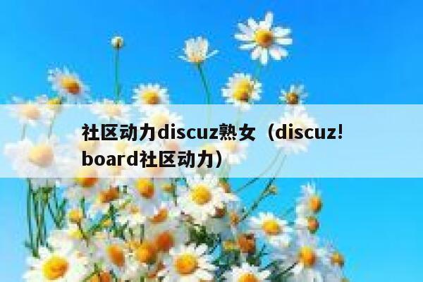 社区动力discuz熟女（discuz!board社区动力）