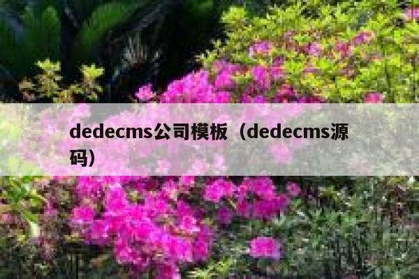 dedecms公司模板（dedecms源码）