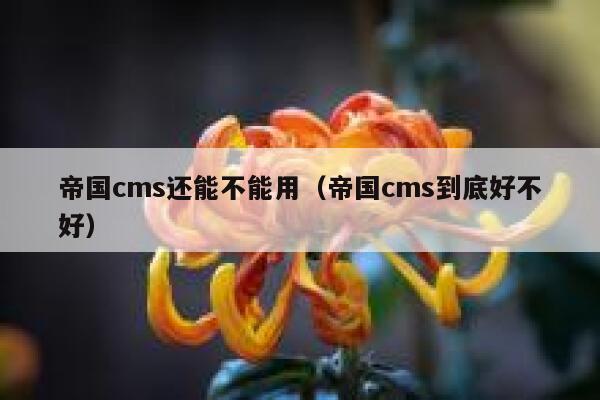 帝国cms还能不能用（帝国cms到底好不好）