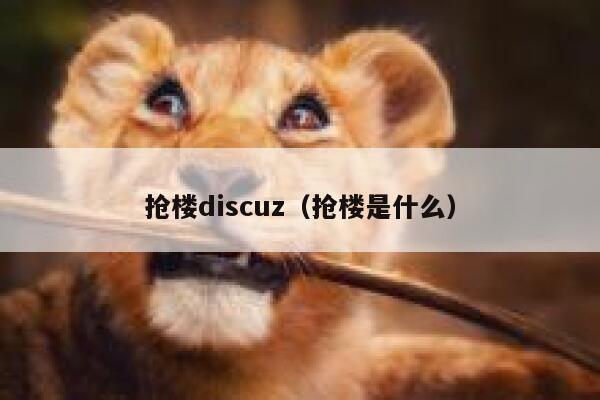 抢楼discuz（抢楼是什么）