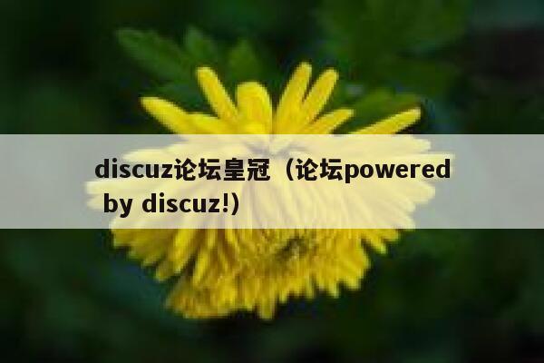 discuz论坛皇冠（论坛powered by discuz!）