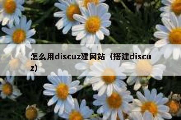 怎么用discuz建网站（搭建discuz）