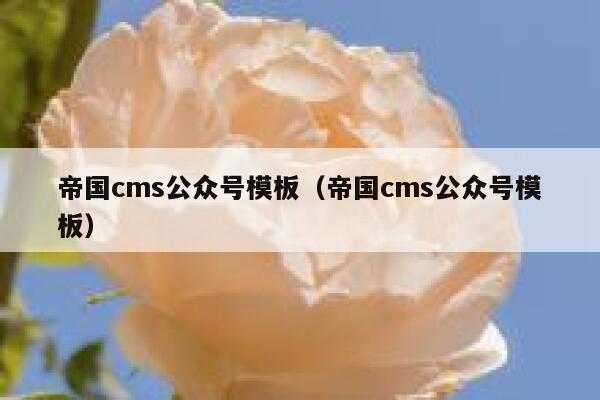 帝国cms公众号模板（帝国cms公众号模板）