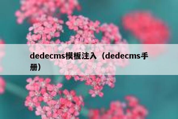 dedecms模板注入（dedecms手册）