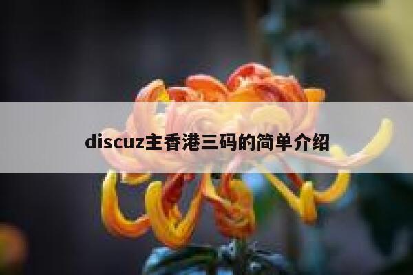 discuz主香港三码的简单介绍