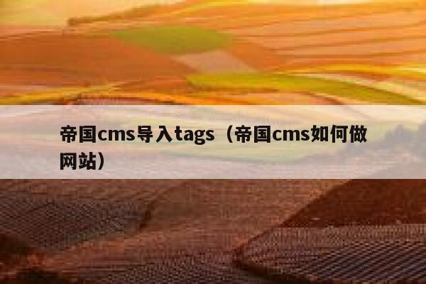 帝国cms导入tags（帝国cms如何做网站）