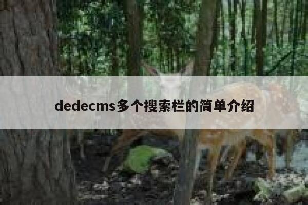 dedecms多个搜索栏的简单介绍