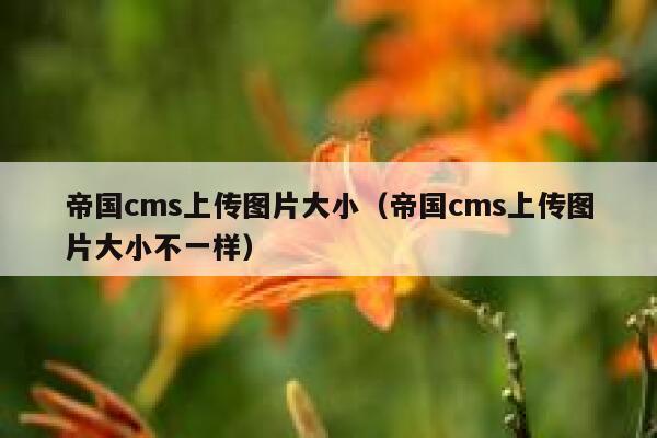 帝国cms上传图片大小（帝国cms上传图片大小不一样）