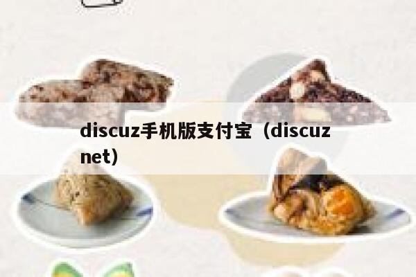 discuz手机版支付宝（discuz net）