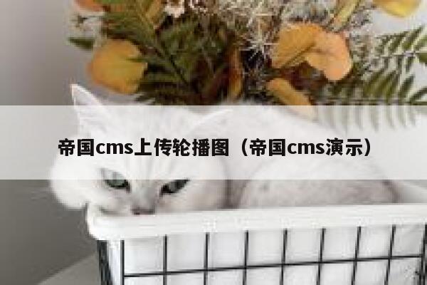 帝国cms上传轮播图（帝国cms演示）