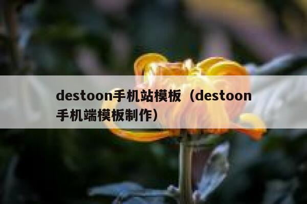 destoon手机站模板（destoon手机端模板制作）