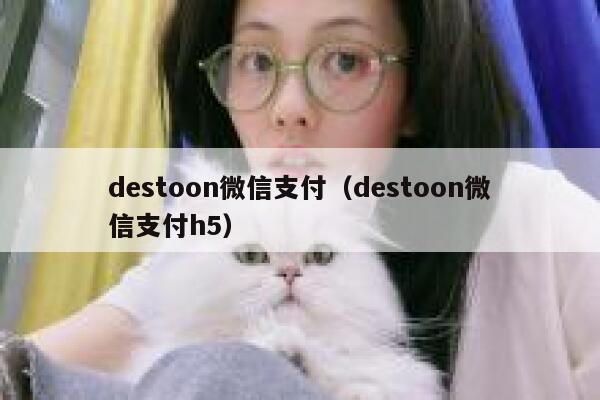 destoon微信支付（destoon微信支付h5）