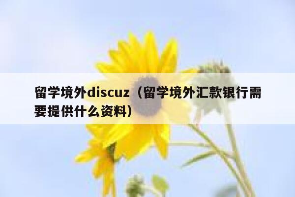 留学境外discuz（留学境外汇款银行需要提供什么资料）