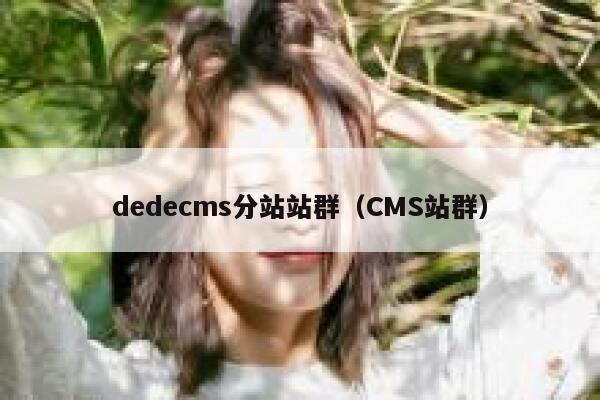 dedecms分站站群（CMS站群）