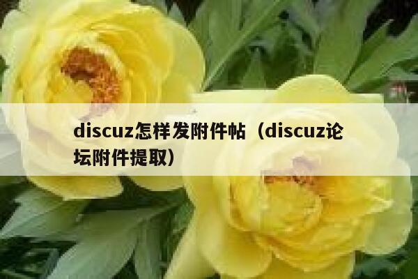 discuz怎样发附件帖（discuz论坛附件提取）