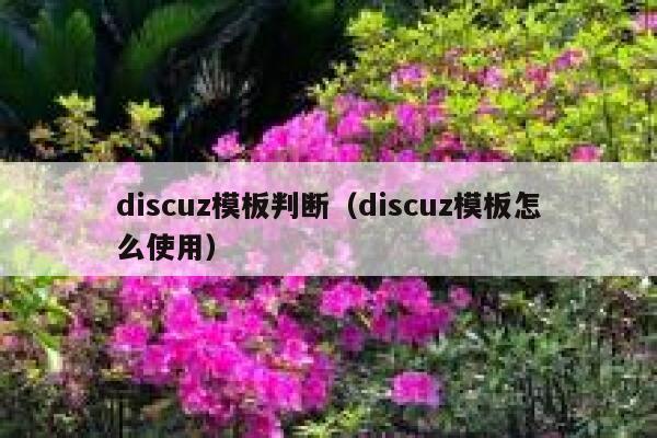 discuz模板判断（discuz模板怎么使用）