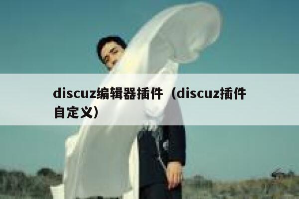 discuz编辑器插件（discuz插件自定义）