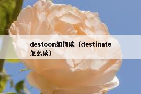 destoon如何读（destinate怎么读）