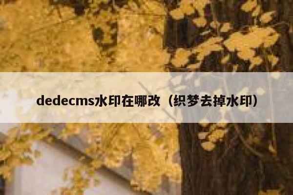 dedecms水印在哪改（织梦去掉水印）