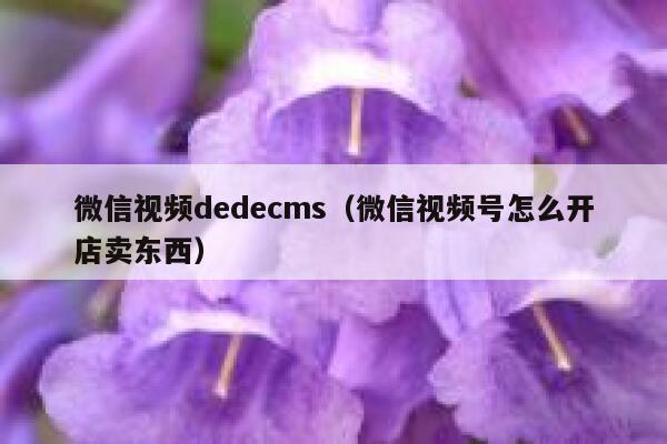 微信视频dedecms（微信视频号怎么开店卖东西）