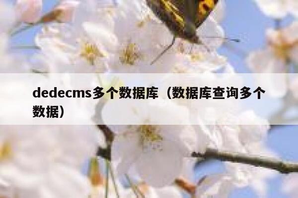 dedecms多个数据库（数据库查询多个数据）