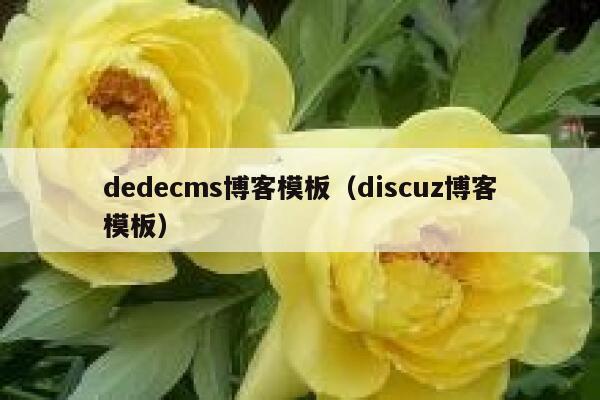 dedecms博客模板（discuz博客模板）