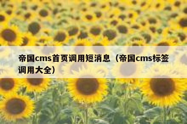 帝国cms首页调用短消息（帝国cms标签调用大全）