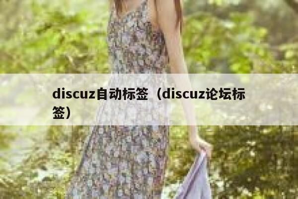 discuz自动标签（discuz论坛标签）