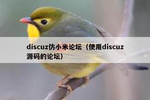 discuz仿小米论坛（使用discuz源码的论坛）