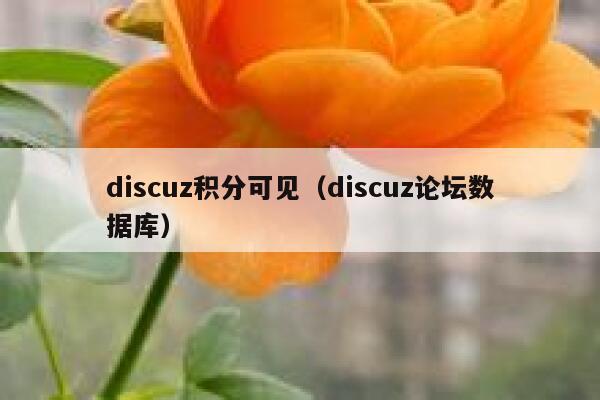 discuz积分可见（discuz论坛数据库）