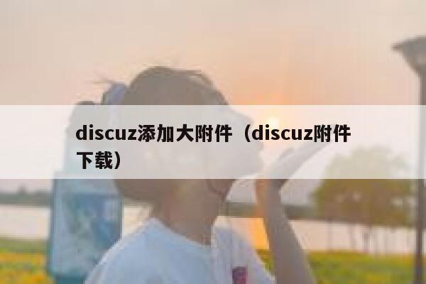 discuz添加大附件（discuz附件下载）