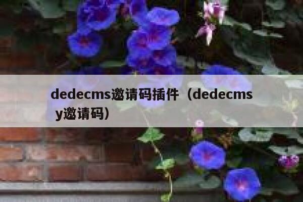 dedecms邀请码插件（dedecms y邀请码）